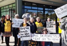 Protest against deforested beef