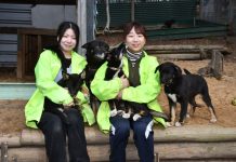 From Hiroshima to Chewton