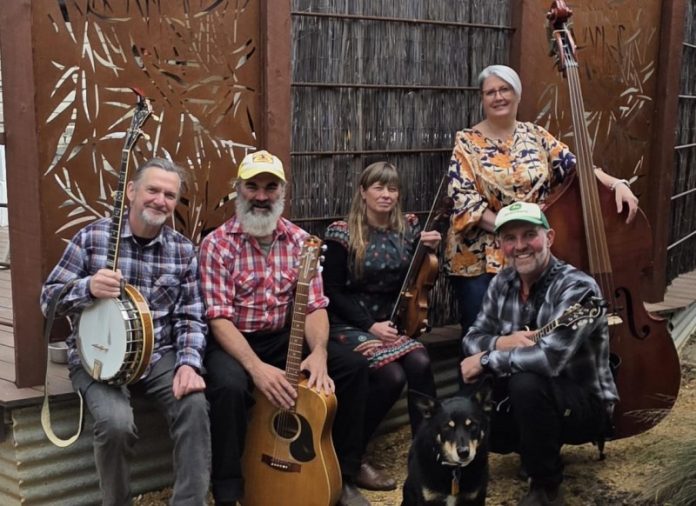 cFringe241025 Barry Fitzpatrick on banjo, Amy Cecil on violin, Tully Sumner on guitar and vocals, Kim Burns on double bass and vocals, and Ross Richards on mandolin. will perform at Haunted Halloween.