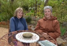 HEDGE gardeners to open their gates HEDGE members and avid gardeners Alison McMillan and Rainey Connell are pictured in Alison's 'Family Circle' and look forward to opening their gardens for the nine-day event.