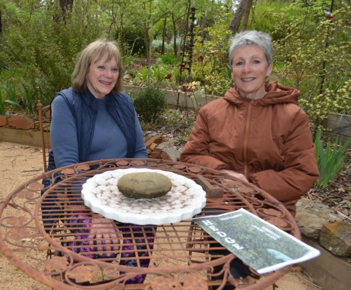 HEDGE members and avid gardeners Alison McMillan and Rainey Connell are pictured in Alison's 'Family Circle' and look forward to opening their gardens for the nine-day event.