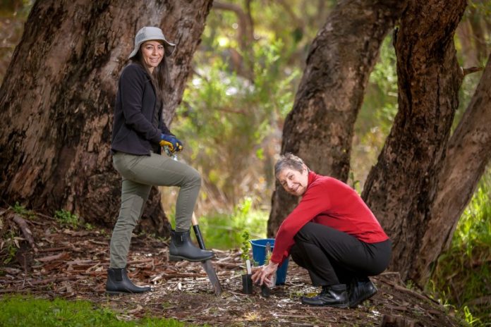 Harcourt Valley Landcare Members Vanessa and Robyn 'doing their bit'. Photo: Richard Baxter.
