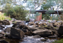 Community consultation open for Castlemaine-Maryborough Rail Trail Larni Barramal Yaluk.