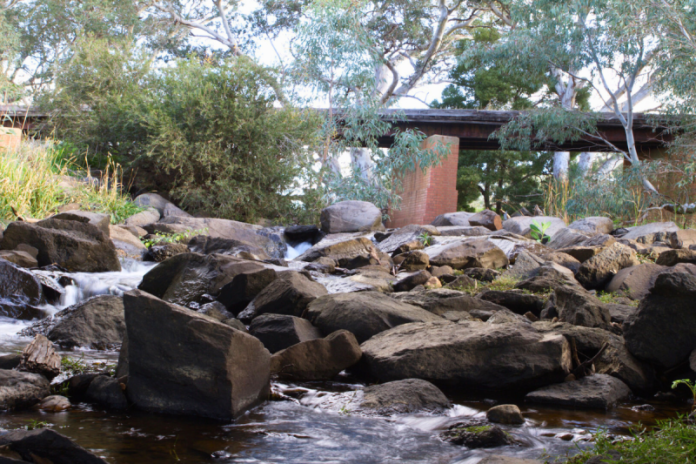 Larni Barramal Yaluk.