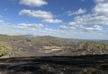 Emergency services continue to work to contain Ravenswood-Harcourt fire Photo: Musk Fire Brigade