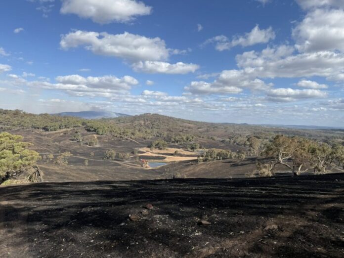 612949530_122160729908851504_6954750893633987560_n Photo: Musk Fire Brigade