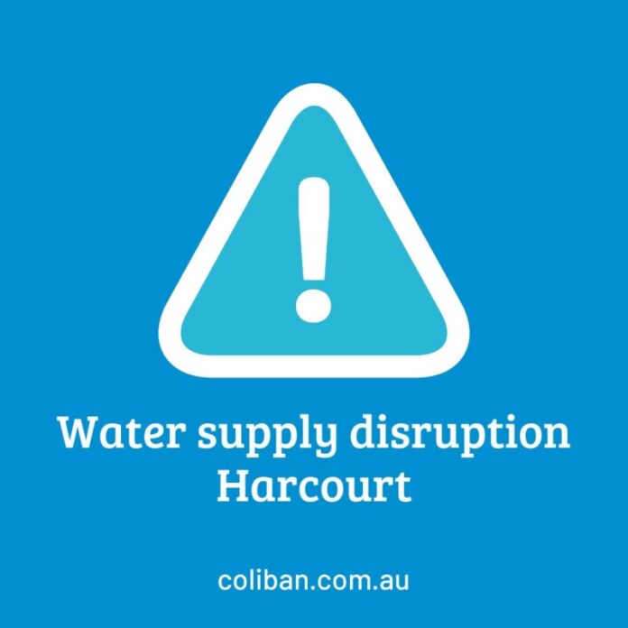 613406891_1480142454116974_4581500184871033197_n