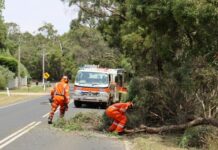 SES respond to region’s fallen trees and damaged buildings