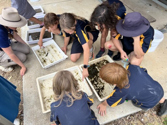 Campbells Creek Primary School (Guildford Campus) students undertook a biodiversity and carbon offset project late last year.