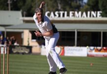 A Crickety Christmas wrap up!