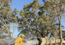 Fire-affected residents to return today