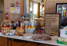 Community comes together: Harcourt Leisure Centre hosts support hub and lunches