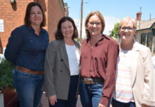 Premier, ministers visit fire-affected