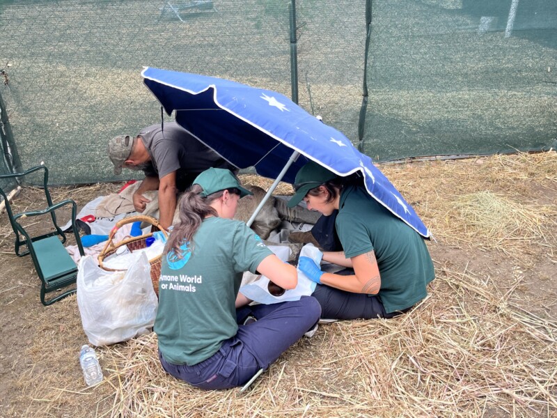 cRedBoxResponse230126-4