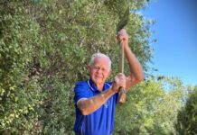 My Castlemaine – Don Hansford