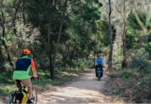 Levees weren’t built in a day Campbells Creek Trail (Credit: Penny Ryan)