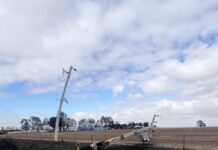 Trial pole protection for bushfire prone areas