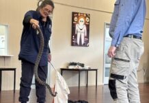 Locals learn the ropes Red Box Wildlife Shelter operator Nikki Hansen-Medwell is pictured in action at Wednesday's workshop. Photo: Red Box Wildlife Shelter.