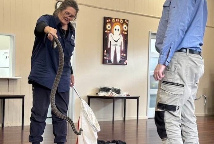 Red Box Wildlife Shelter operator Nikki Hansen-Medwell is pictured in action at Wednesday's workshop. Photo: Red Box Wildlife Shelter.