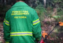 What do I see or smell smoke?