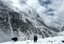 No roads, no problem Monte and Finchley Macpherson on their recent trek on the Tsum Valley Trail.
