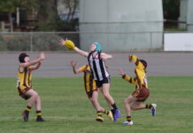 Exciting times for junior Magpies The Magpie Under 12Bs had a flyer against the Huntly Hawks winning by two points in a thriller. Photo: Max Lesser.