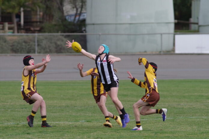 The Magpie Under 12Bs had a flyer against the Huntly Hawks winning by two points in a thriller. Photo: Max Lesser.