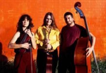 Steal City Trio