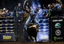 Rodeo dream realised Maldon local Toby Collins has been crowned the 2026 Cowboy of Origin. Photo courtesy of PBR Australia.
