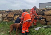 A ruff day out! Castlemaine SES members used the jaws of life to rescue the grateful pooch.