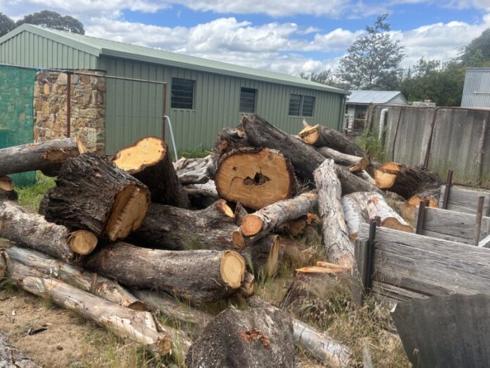 12 trees were removed from the nature strip of a property in Campbells Creek.